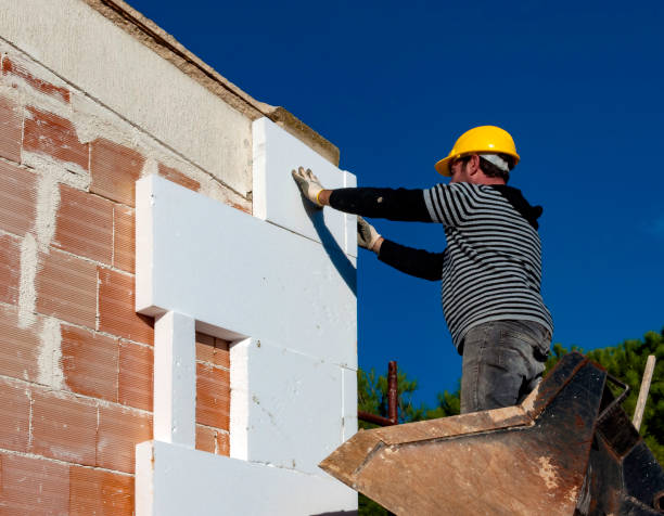 Best Specialty Insulation in Chula Vista, TX