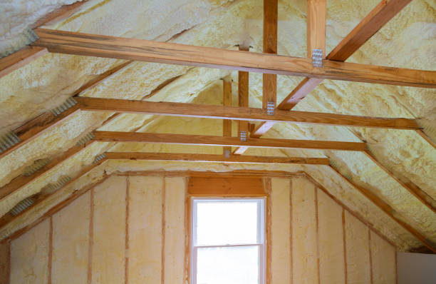 Best Energy Efficiency Solutions in Chula Vista, TX