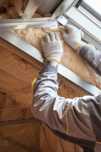 Best Insulation for Specific Applications in Chula Vista, TX