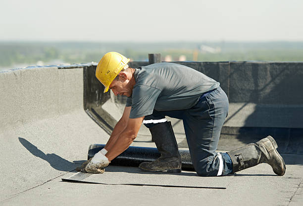 Best Residential Insulation in Chula Vista, TX